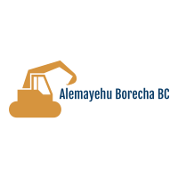 Alemayehu Borecha