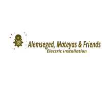 Alemseged, Mateyas and Friends Electric Installation P.S