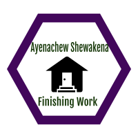 Ayenachew Shewakena Finishing Work