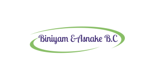 Biniyam and Asnake Road and Building Contractor P.S