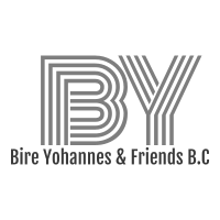 Bire Yohannes and Friends Building Construction P.S