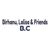 Birhanu, Lalisa and Friends Building Construction P.S