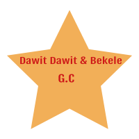 Dawit and Bekele General Construction P.S