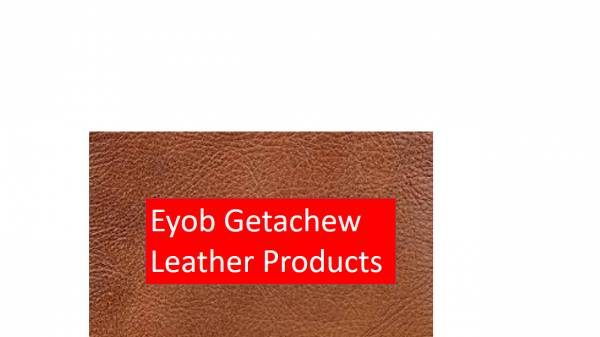 Eyob Getachew Leather Products Manufacture
