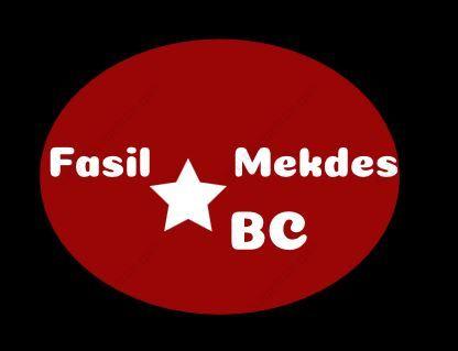 Fasil and Mekdes Building Contractor Partnership