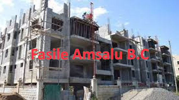 Fasile Amsalu Building Construction / ፋሲል አምሳሉ የህንጻ ስራ ተቋራጭ