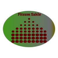 Fitsum Sahle General Construction