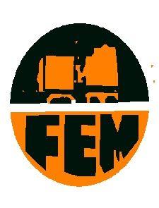 FORTSCHRITT ELECTROMECHANICAL SERVICE PLC /FEMS/