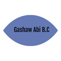 Gashaw Abi Building Construction
