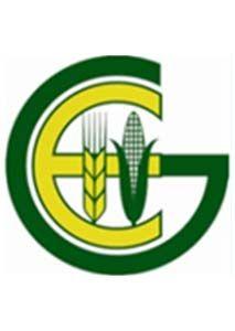GEDEB Engineering PLC