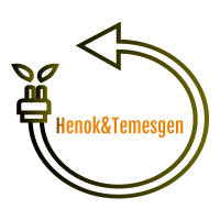 Henok and Temesgen Electric Installation