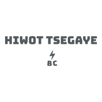 Hiwot Tsegaye Building Construction PLC