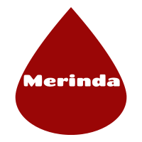 Merinda Tesfaye Finishing Works