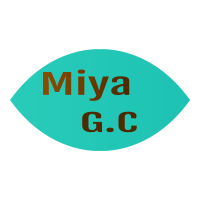 Miya General Construction