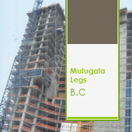 Mulugeta Legesse Building Construction