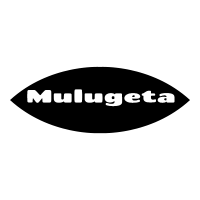 Mulugeta Metal Works