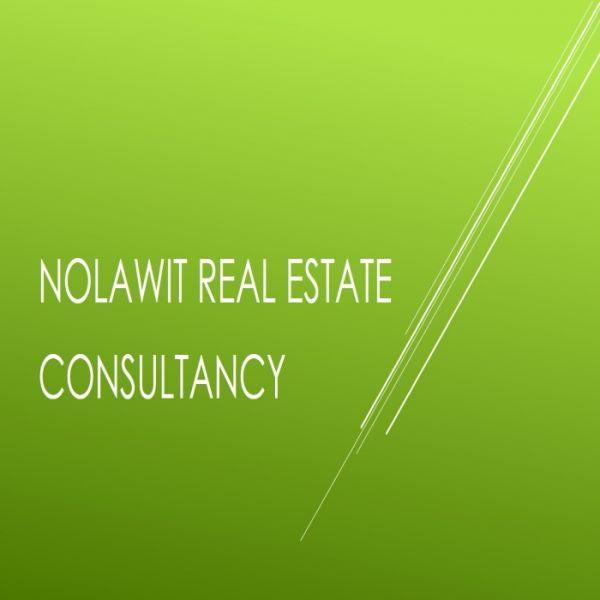 Nolawit Real Estate Consultant
