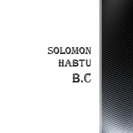 Solomon Habtu Building Construction