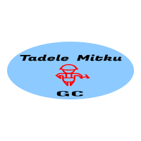 Tadel Mitku General Construction PLC