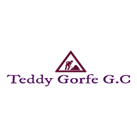 Teddy Gorfe Asefa G.C