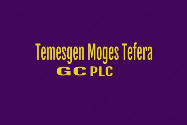 Temesgen Moges Tefera General Construction