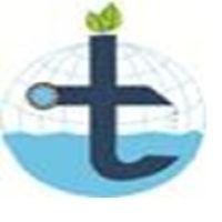 Tensae International Business Enterprise Plc