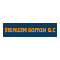 Tesfalem Goitom Building Construction