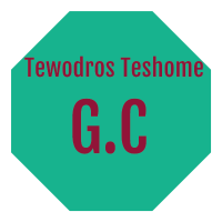 Tewodros Teshome General Construction