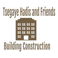 Tsegaye Hadis and Friends Building Construction