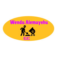 Wendu Alemayehu General Construction