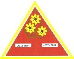 Yirgalem Addis Textile Factory PLC