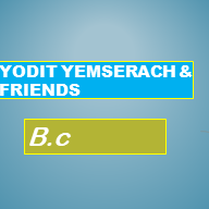 Yodit, Yemsirach and Their Friends Building Construction