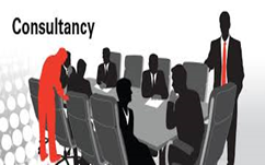 consultancy