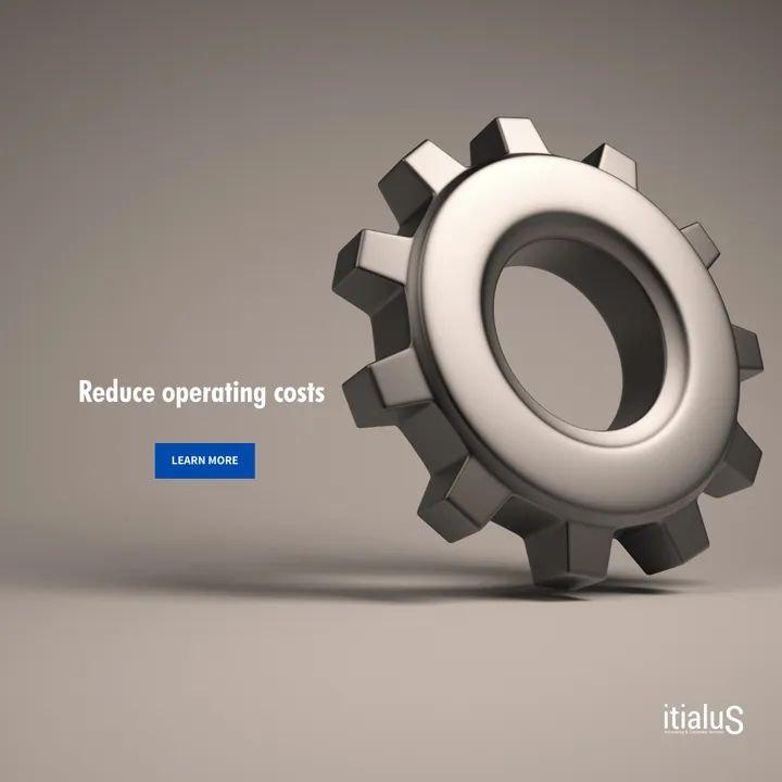 OPERATING COST ITALUS