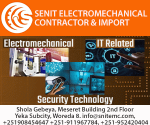 Senit 1