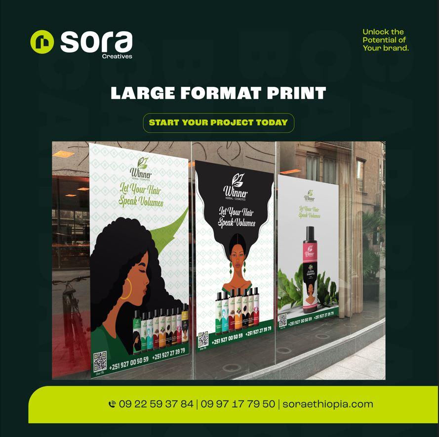 Sora print 5