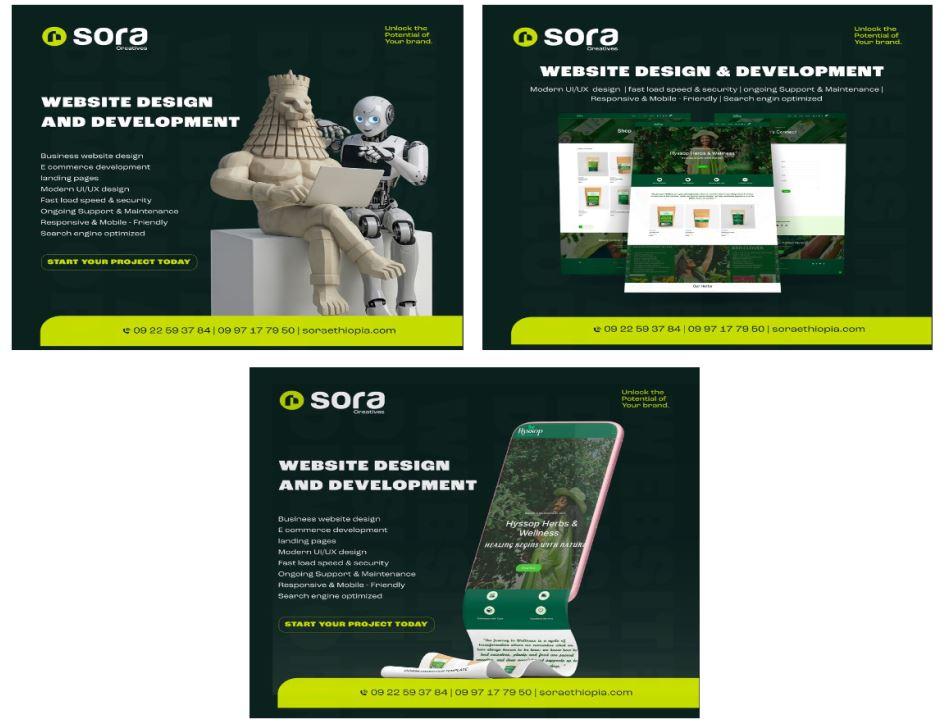 Sora web 1