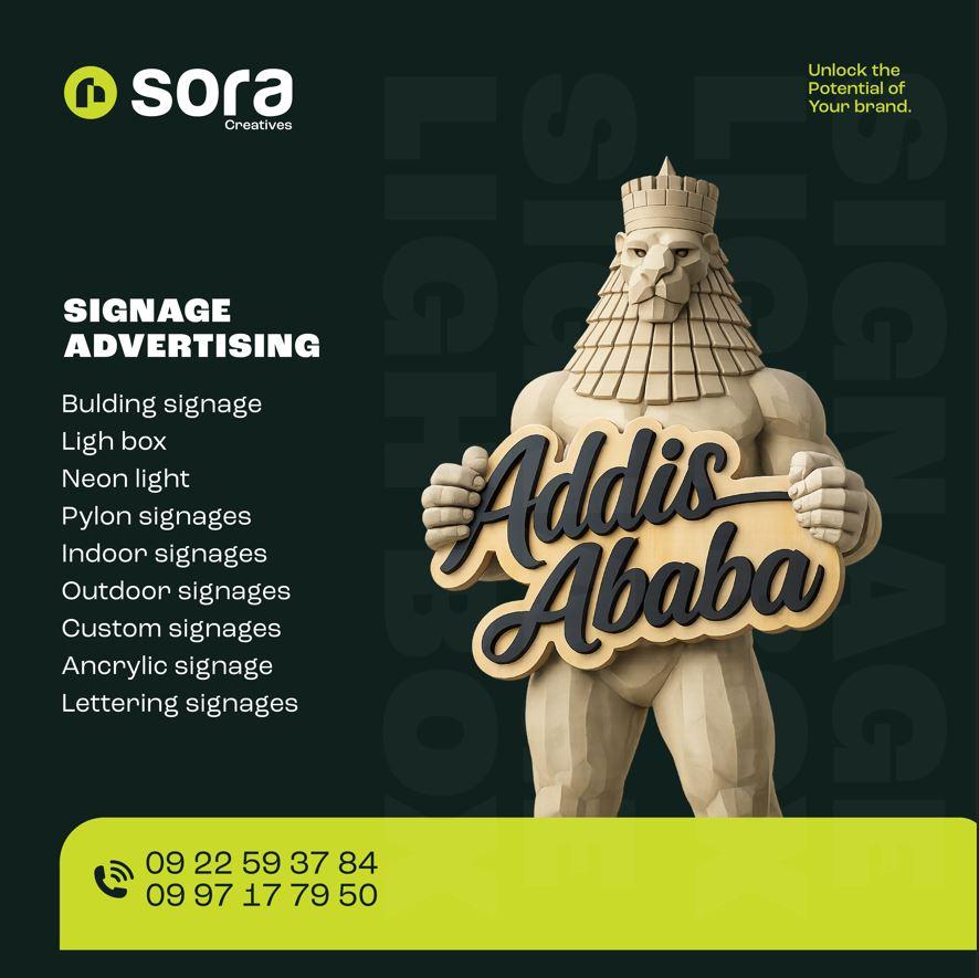Sora sign1